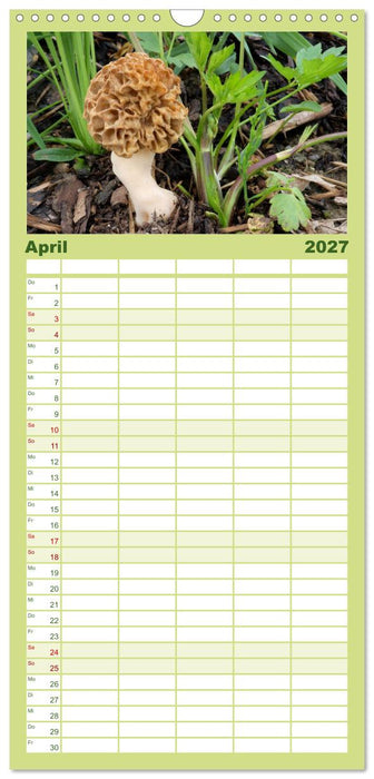 Pilzkalender (CALVENDO Familienplaner 2027)