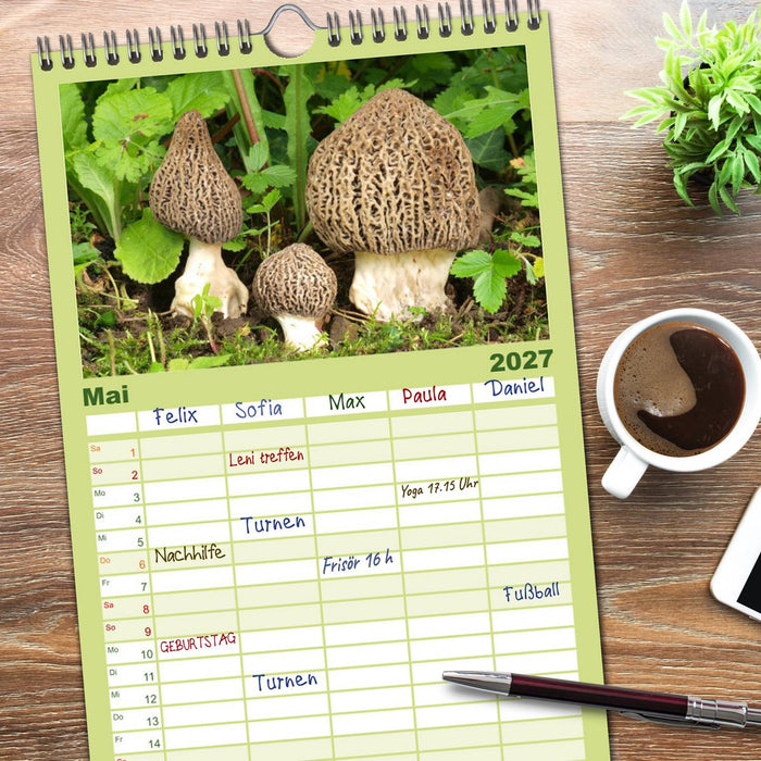Pilzkalender (CALVENDO Familienplaner 2027)