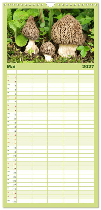 Pilzkalender (CALVENDO Familienplaner 2027)