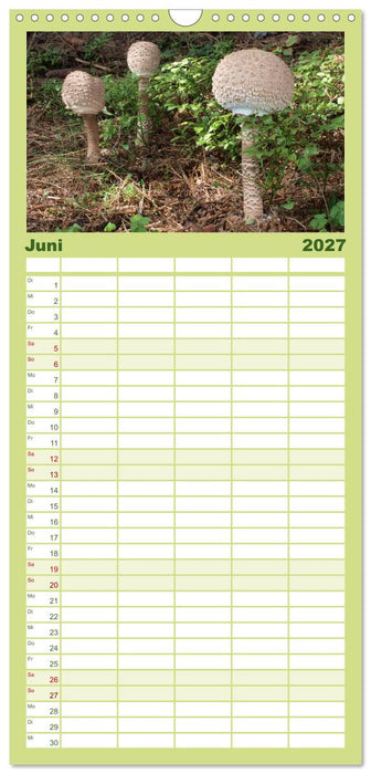Pilzkalender (CALVENDO Familienplaner 2027)