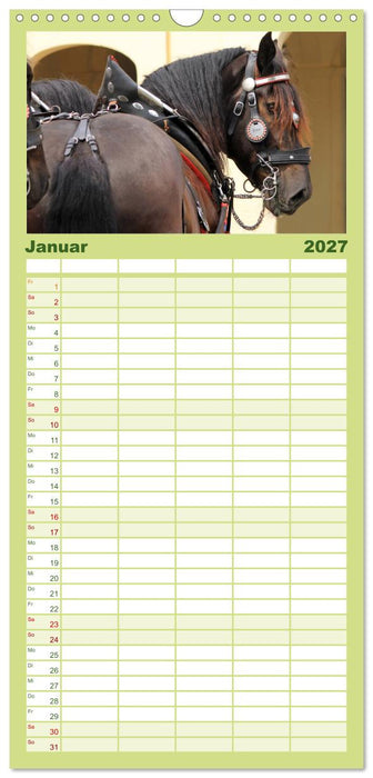 Schwere Pferde (CALVENDO Familienplaner 2027)