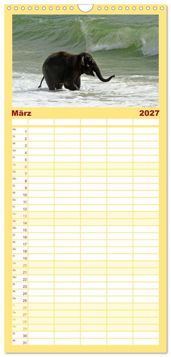 Elefanten. Spaß am Wasser (CALVENDO Familienplaner 2027)