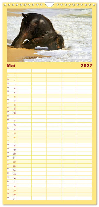 Elefanten. Spaß am Wasser (CALVENDO Familienplaner 2027)