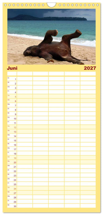 Elefanten. Spaß am Wasser (CALVENDO Familienplaner 2027)