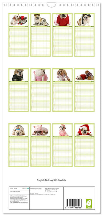 English Bulldog XXL Models (CALVENDO Familienplaner 2027)