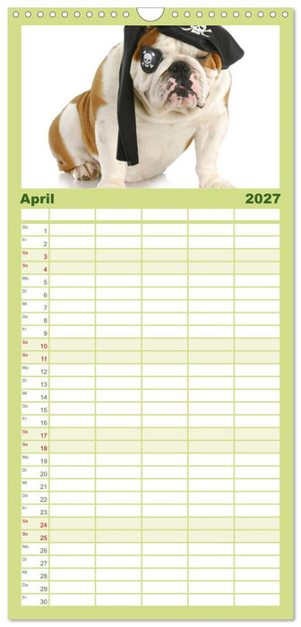 English Bulldog XXL Models (CALVENDO Familienplaner 2027)