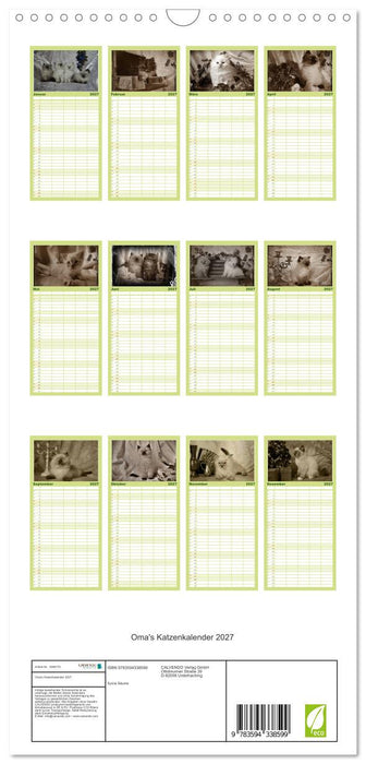 Oma's Katzenkalender 2027 (CALVENDO Familienplaner 2027)