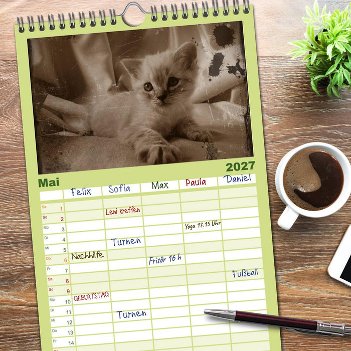 Oma's Katzenkalender 2027 (CALVENDO Familienplaner 2027)