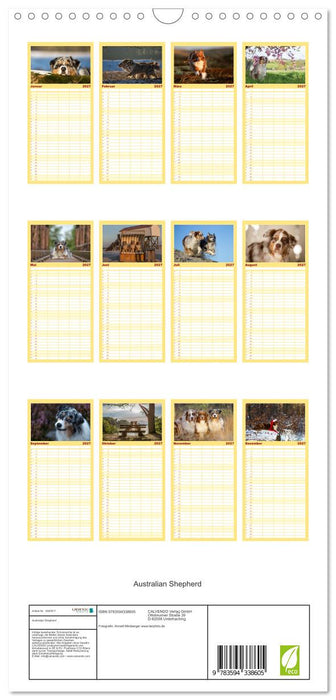 Australian Shepherd (CALVENDO Familienplaner 2027)