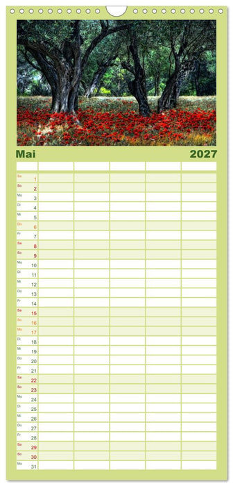 Provence romantique (CALVENDO Familienplaner 2027)