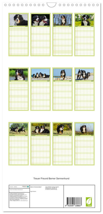 Treuer Freund Berner Sennenhund (CALVENDO Familienplaner 2027)