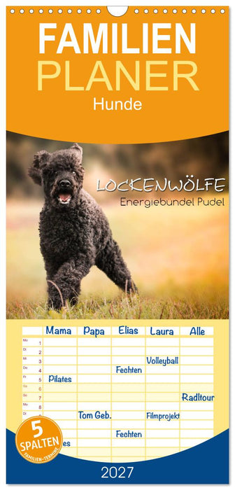 Lockenwölfe - Energiebündel Pudel (CALVENDO Familienplaner 2027)