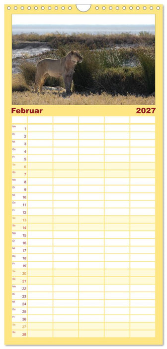 Wildes Namibia (CALVENDO Familienplaner 2027)