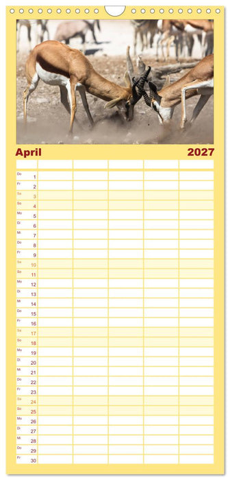 Wildes Namibia (CALVENDO Familienplaner 2027)