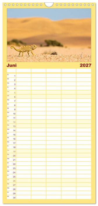 Wildes Namibia (CALVENDO Familienplaner 2027)