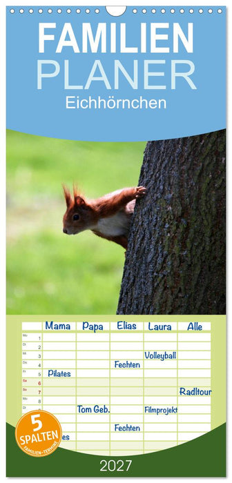 Eichhörnchen (CALVENDO Familienplaner 2027)