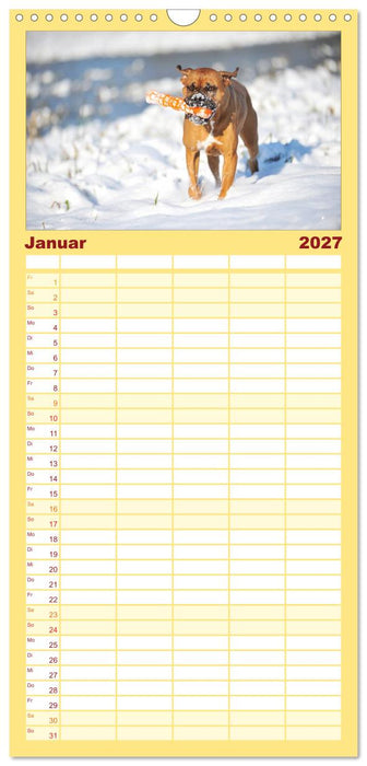 Boxer? Was sonst! (CALVENDO Familienplaner 2027)