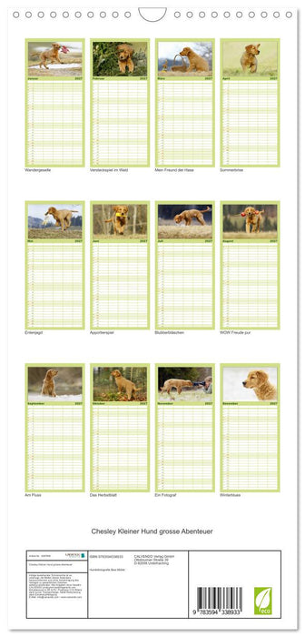 Chesley Kleiner Hund grosse Abenteuer (CALVENDO Familienplaner 2027)