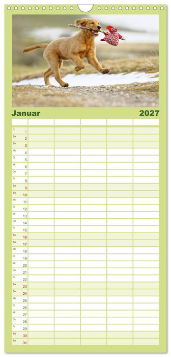 Chesley Kleiner Hund grosse Abenteuer (CALVENDO Familienplaner 2027)