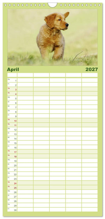 Chesley Kleiner Hund grosse Abenteuer (CALVENDO Familienplaner 2027)
