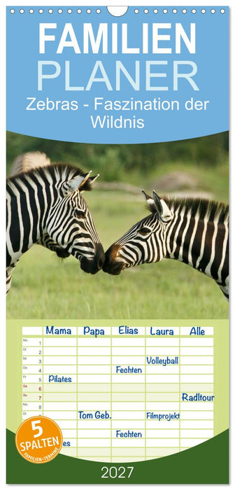Zebras - Faszination der Wildnis (CALVENDO Familienplaner 2027)
