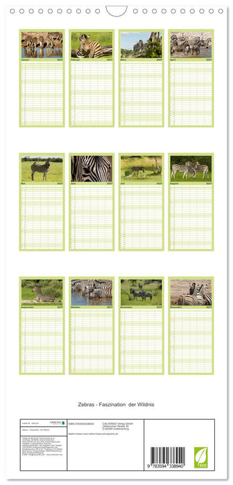 Zebras - Faszination der Wildnis (CALVENDO Familienplaner 2027)