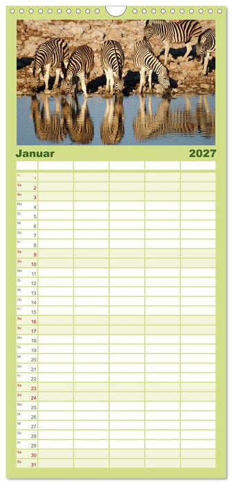 Zebras - Faszination der Wildnis (CALVENDO Familienplaner 2027)