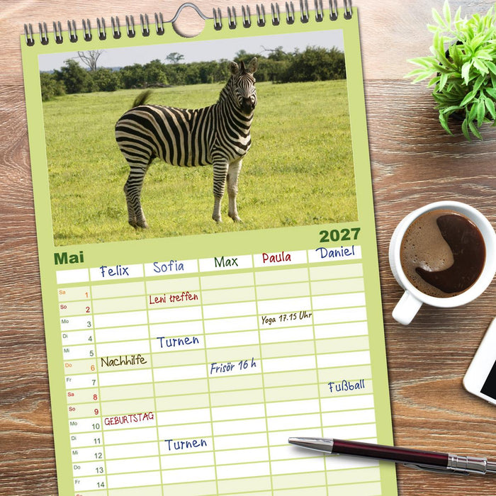 Zebras - Faszination der Wildnis (CALVENDO Familienplaner 2027)
