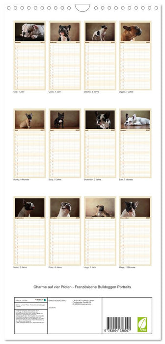 Charme auf vier Pfoten - Französische Bulldoggen Portraits (CALVENDO Familienplaner 2027)