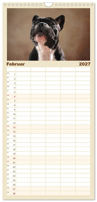 Charme auf vier Pfoten - Französische Bulldoggen Portraits (CALVENDO Familienplaner 2027)