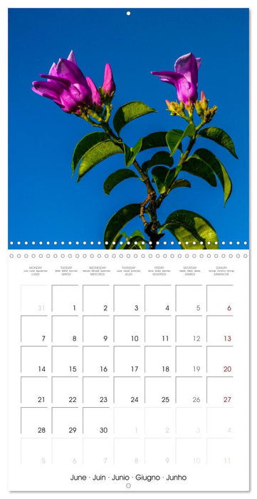 A Panama Panorama (CALVENDO Monthly Calendar 2027)
