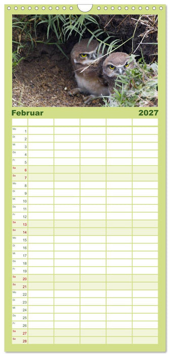 Eulen. Wächter der Nacht (CALVENDO Familienplaner 2027)