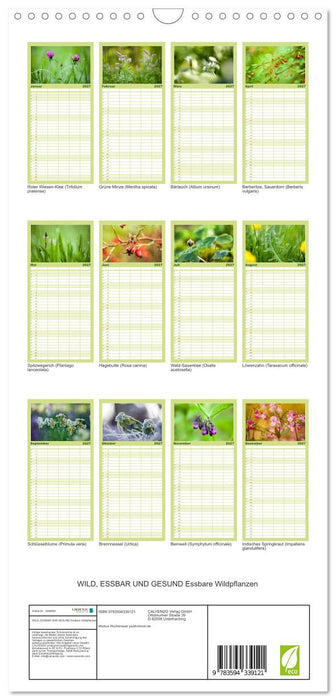 WILD, ESSBAR UND GESUND Essbare Wildpflanzen (CALVENDO Familienplaner 2027)