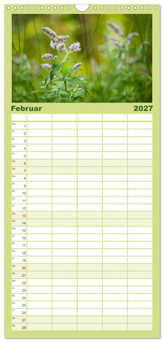 WILD, ESSBAR UND GESUND Essbare Wildpflanzen (CALVENDO Familienplaner 2027)