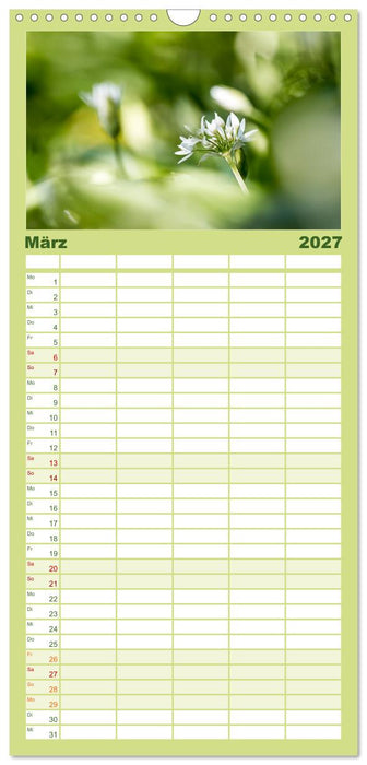 WILD, ESSBAR UND GESUND Essbare Wildpflanzen (CALVENDO Familienplaner 2027)