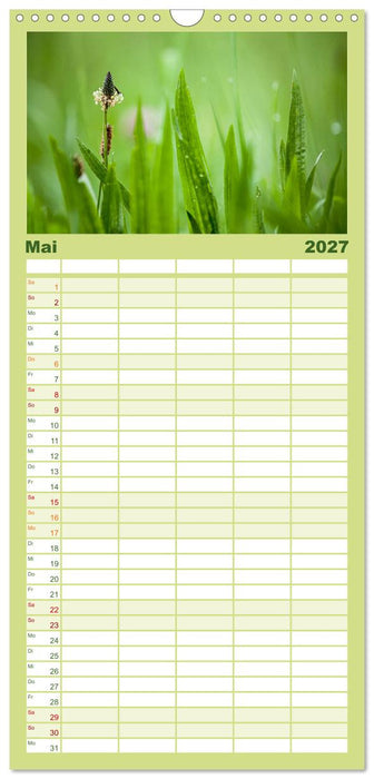 WILD, ESSBAR UND GESUND Essbare Wildpflanzen (CALVENDO Familienplaner 2027)