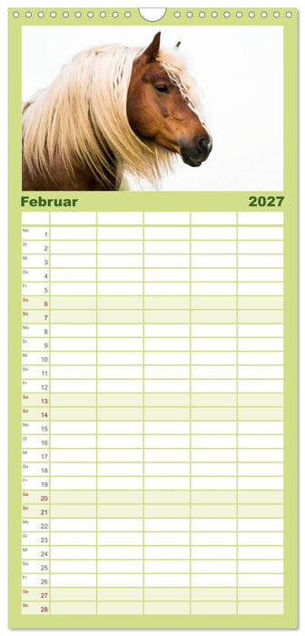 Faszination Schwarzwälder Kaltblut (CALVENDO Familienplaner 2027)