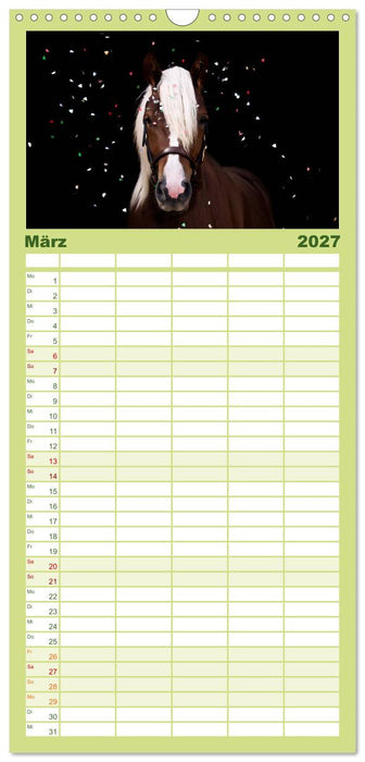 Faszination Schwarzwälder Kaltblut (CALVENDO Familienplaner 2027)