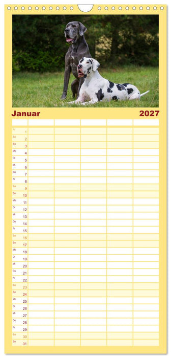 Deutsche Dogge (CALVENDO Familienplaner 2027)