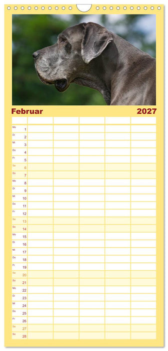 Deutsche Dogge (CALVENDO Familienplaner 2027)