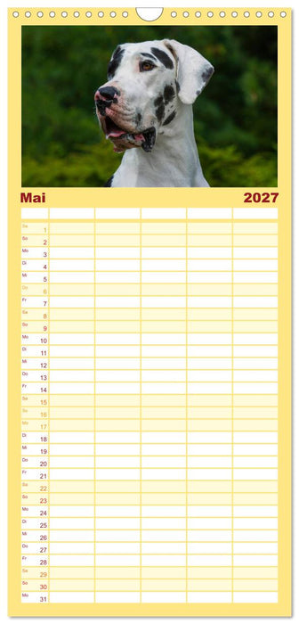 Deutsche Dogge (CALVENDO Familienplaner 2027)
