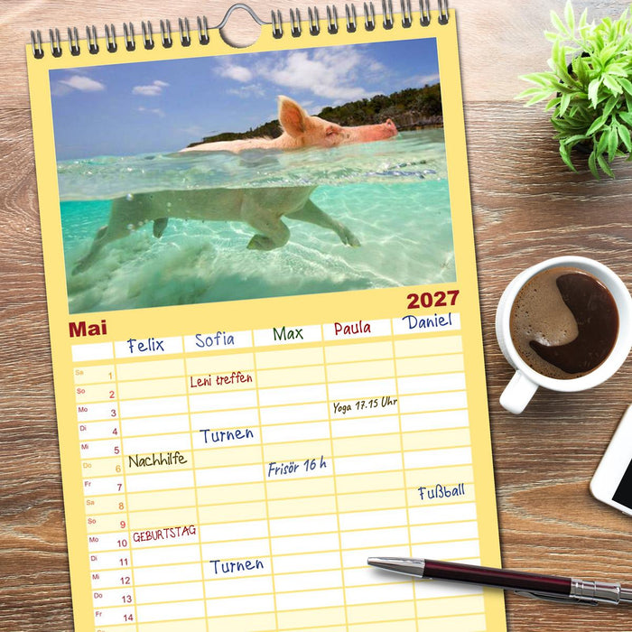 Schweine im Dauerurlaub auf den Bahamas! (CALVENDO Familienplaner 2027)