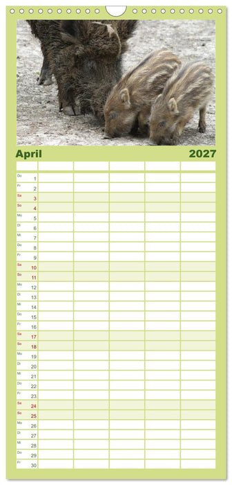 Schweinkram - Die Wildschweine sind los (CALVENDO Familienplaner 2027)