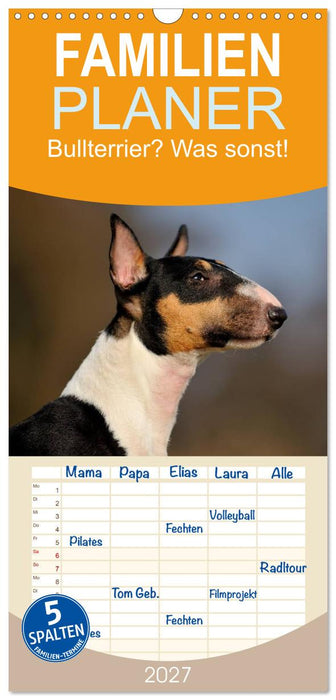 Bullterrier? Was sonst! (CALVENDO Familienplaner 2027)