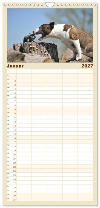 Bullterrier? Was sonst! (CALVENDO Familienplaner 2027)