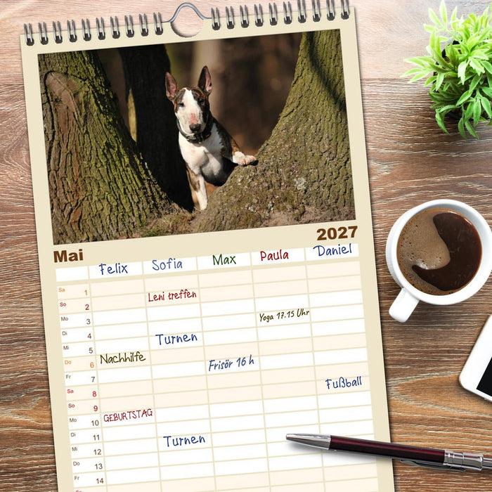 Bullterrier? Was sonst! (CALVENDO Familienplaner 2027)