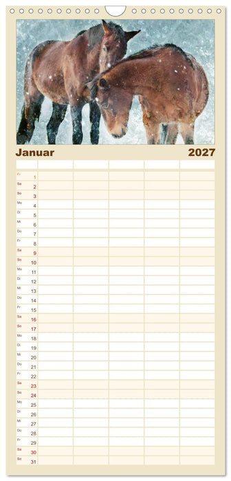 Pferde zum Träumen (CALVENDO Familienplaner 2027)