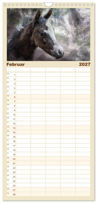 Pferde zum Träumen (CALVENDO Familienplaner 2027)