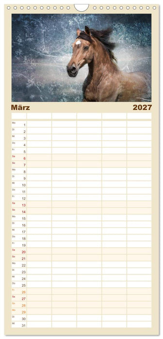 Pferde zum Träumen (CALVENDO Familienplaner 2027)
