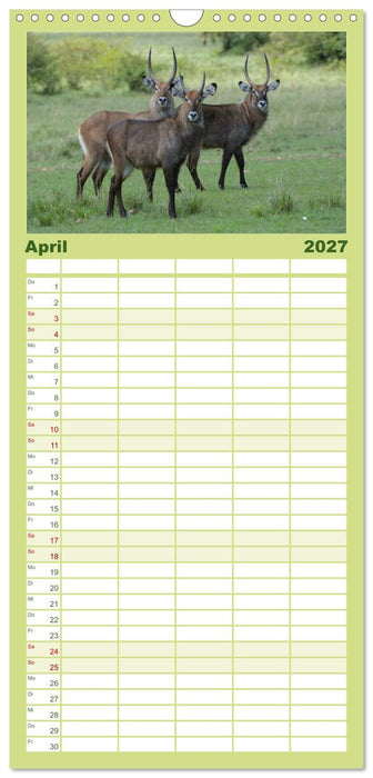 Abenteuer Afrika - Im Paradies der Tiere (CALVENDO Familienplaner 2027)